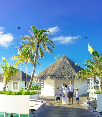 Portfolio Image